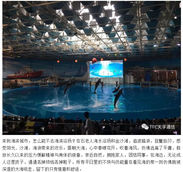 首页|尊龙人生就是博官网入口