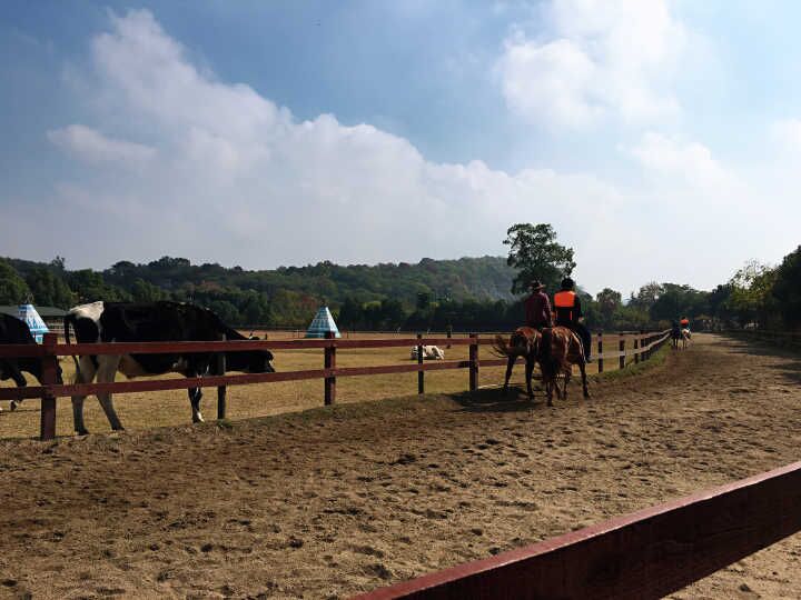 首页|尊龙人生就是博官网入口