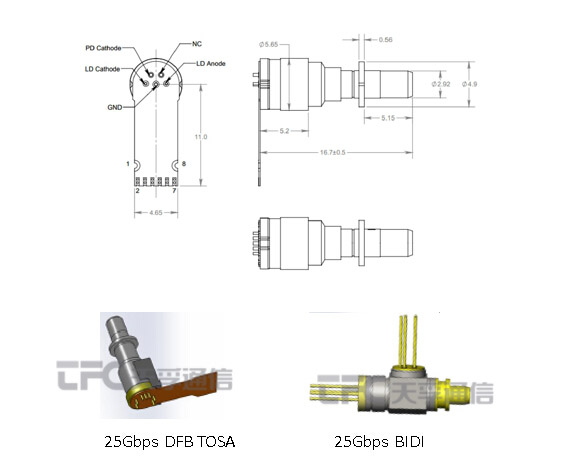 首页|尊龙人生就是博官网入口