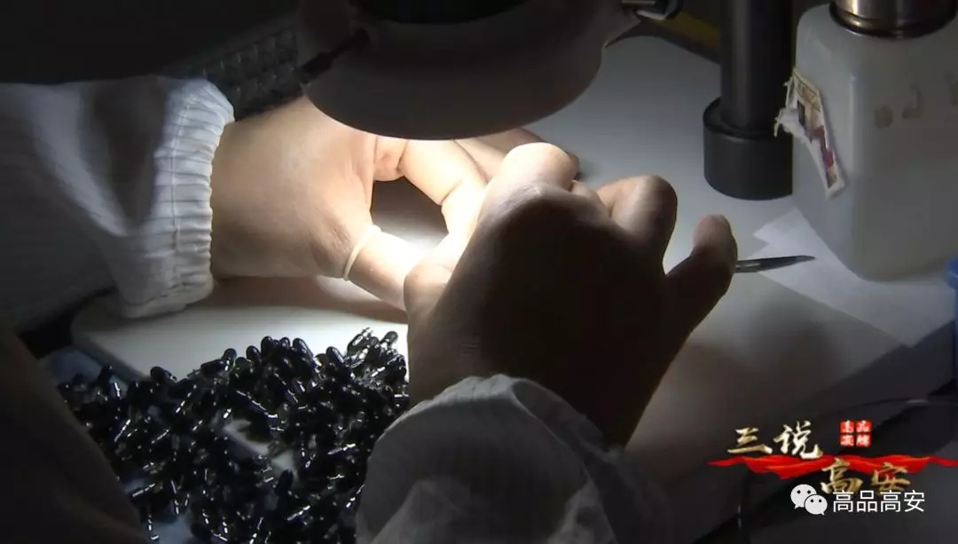 首页|尊龙人生就是博官网入口